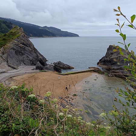 Bermeo Y Urdaibai - Parking-Ascensor - Wifi - Tranquilo Apartment Екстериор снимка