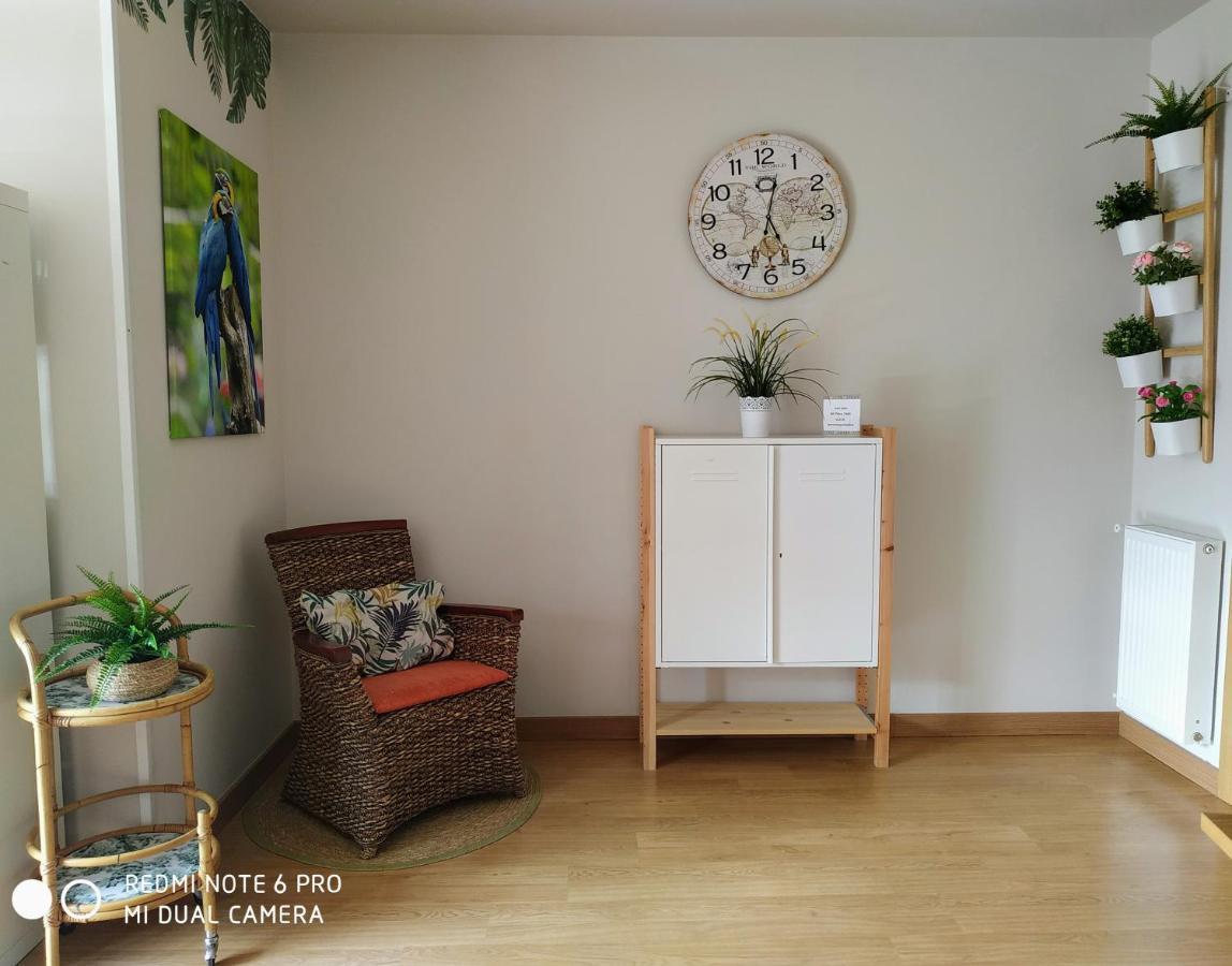 Bermeo Y Urdaibai - Parking-Ascensor - Wifi - Tranquilo Apartment Екстериор снимка